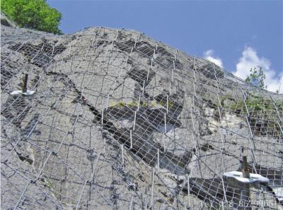 絞索網(wǎng)、蜘蛛網(wǎng)